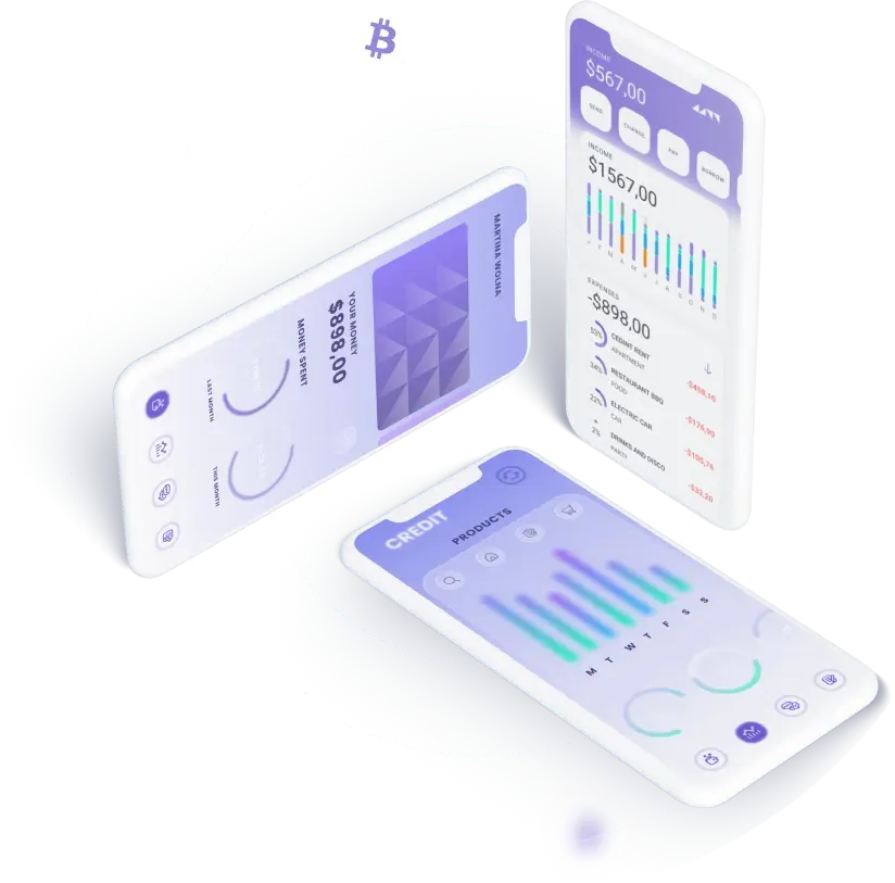 ItalionixionPro - WHAT IS THE PURPOSE OF THE ItalionixionPro APPLICATION?